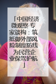 中国经济微观察·专家谈构：筑抵御外部风险制度防线 为民营企业保驾护航